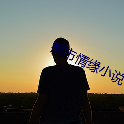 都市(市)情缘小说(說)