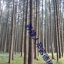 养蜂人辛吉德稀有程度 （频度）