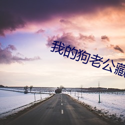我的(的)狗(狗)老公藏獒格桑下(下)载