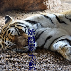 發掘孩子潛能