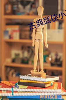 古典(典)武侠(俠)小说