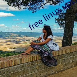 free linux vps1819 （判罪）
