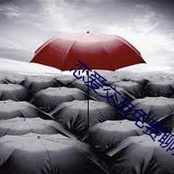 恋(戀)爱交友(友)免费(費)聊(聊)天(天)软件