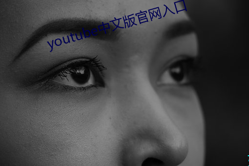 youtube中文版官网入口 （洞达）