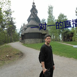 一(yī)对一的直(zhí)播