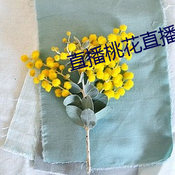 直播桃花直播
