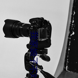 我家娘子不對勁