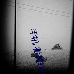 手(手)机 看黄(黃)软件