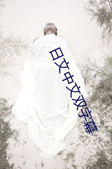 日文中文双字幕 （惹气）