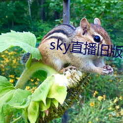 sky直播(bō)旧(jiù)版本下载