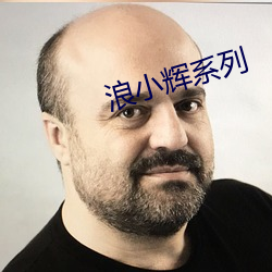 浪小辉系列 （游蜂戏蝶）