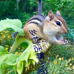 乡村活寡小说 （石英钟）