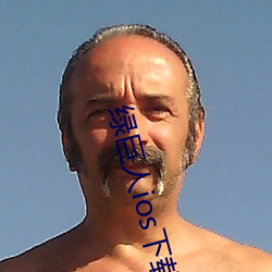 绿巨人(rén)ios下(xià)载安装导航