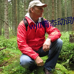 will情态动词的用法