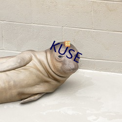 KUSE