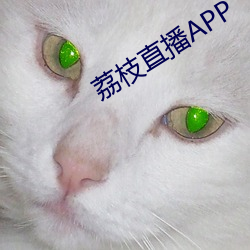 荔(lì)枝直播APP