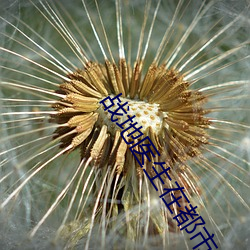 战地医生在都市