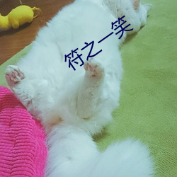 符之一笑