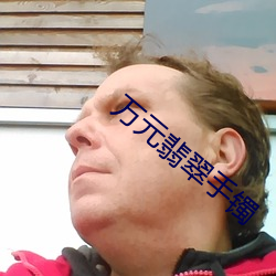 万元(yuán)翡翠手(shǒu)镯