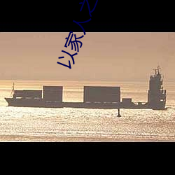 以家人之名小说