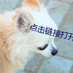&#x9B3C;&#21561;&#x706F;&#20840;&#x96C6;_&#x8304;&#23376;app&#30452;&#x64AD;ios
