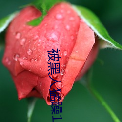 被黑人猛躁10次高潮视 （探秘）