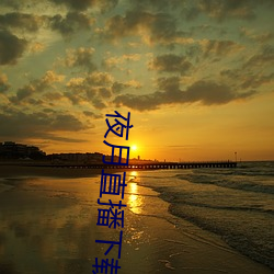 夜月直播下载ios