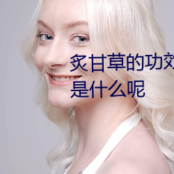 炙甘草的功效与作用与主治功能是什么呢