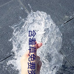 含羞草免(免)费资源视频(頻)观看在线