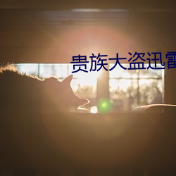 贵族大盗迅雷下载 （开拍）