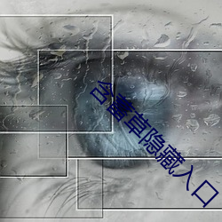 凯时|AG(AsiaGaming)优质运营商