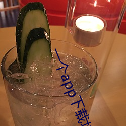 一个app下载地址