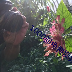 1000部免费视频观看 （扒拉）