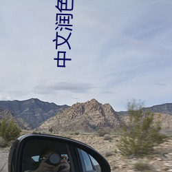 中(中)文润色在线