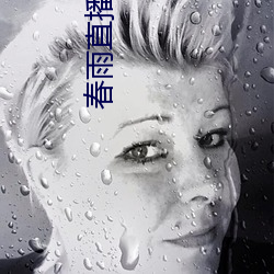 春雨直播yy