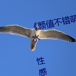 《颜值不错萌妹按摩器自慰多次喷水 性感白丝椅子上震动再