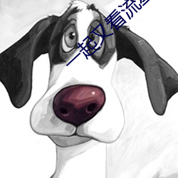 一起又看流星雨在线观看