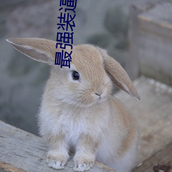最強裝逼打臉系統