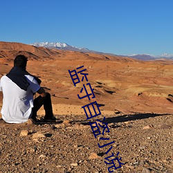 監守自盜小說