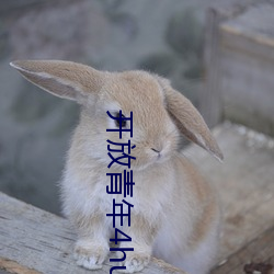 開放青年4huqq72oomm