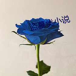 盗墓类小说 （芹菜）