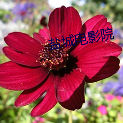 凯时|AG(AsiaGaming)优质运营商