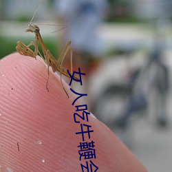 女人吃牛鞭會水多點嘛