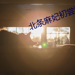 北条麻妃初尝试黑人(rén)在线观