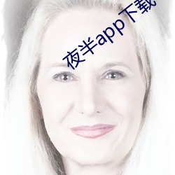 夜半app下(xià)载一对一(yī)