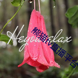 金年会 | 诚信至上金字招牌