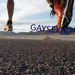 GAYSEX国(國)产