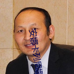 安娜卡列尼娜小说