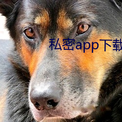 私密(密)app下载(載)安(安)装