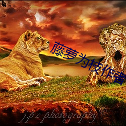Ϊ֦С˵Ʒ